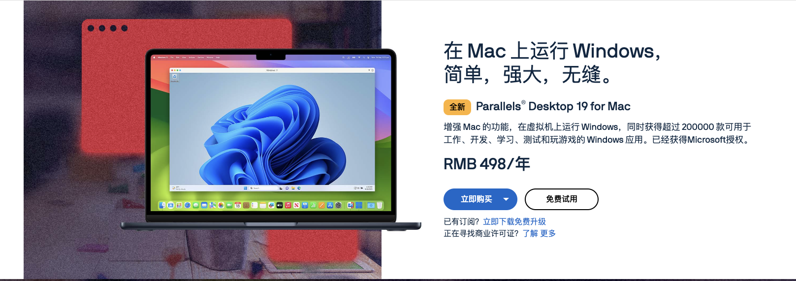 image-20240226161213327